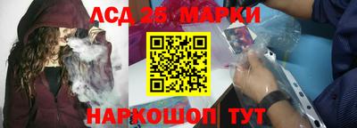 молекула духа Будённовск