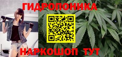 spice Бузулук