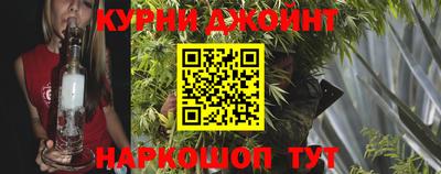 молекула духа Будённовск