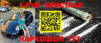 молекула духа Будённовск