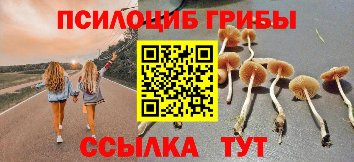 Псилоцибиновые грибы MAGIC MUSHROOMS Полысаево